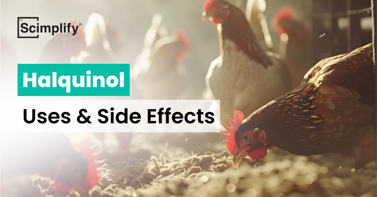What are Halquinol's uses and side effects?