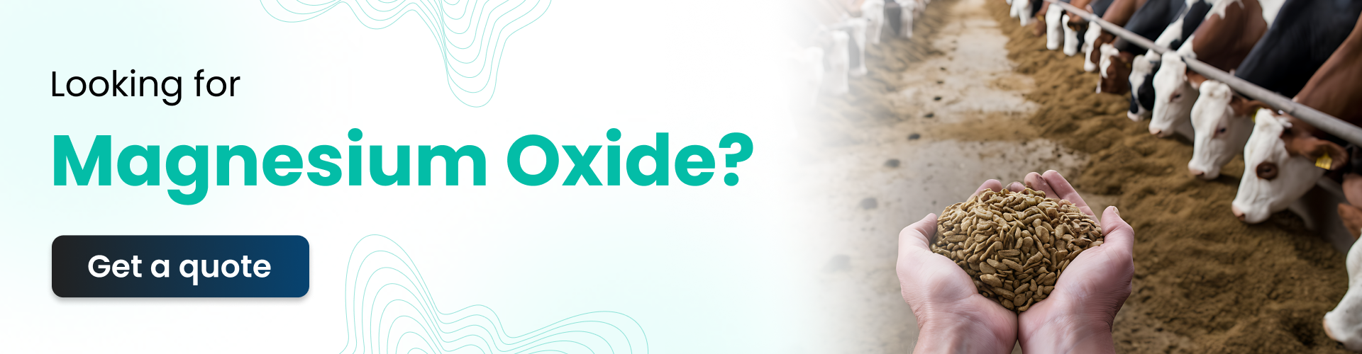 Looking for a Magnesium Oxide? Get a Quote