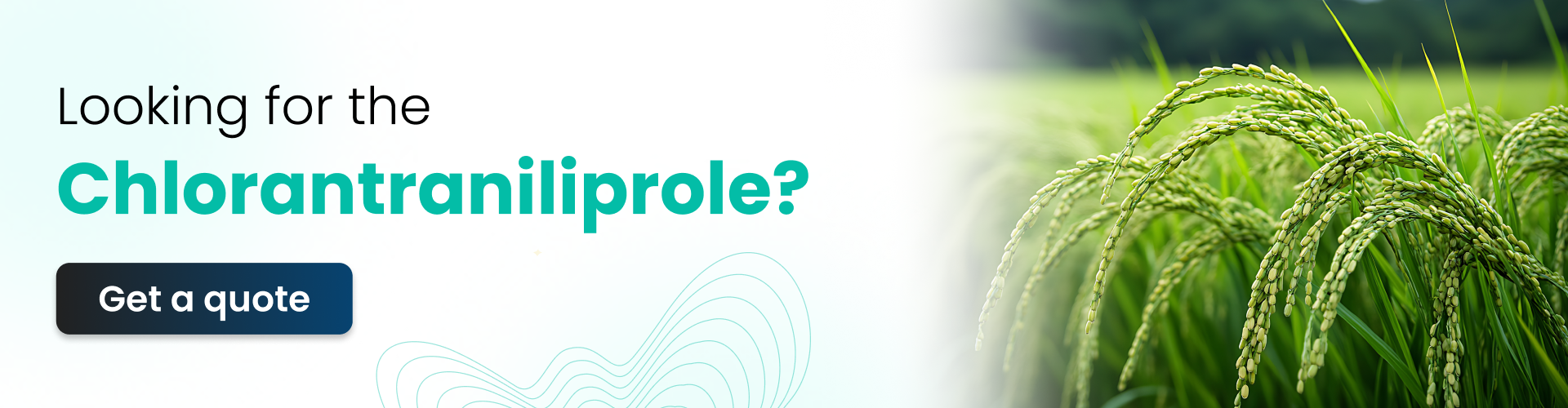 Chlorantraniliprole - Uses and Side Effects