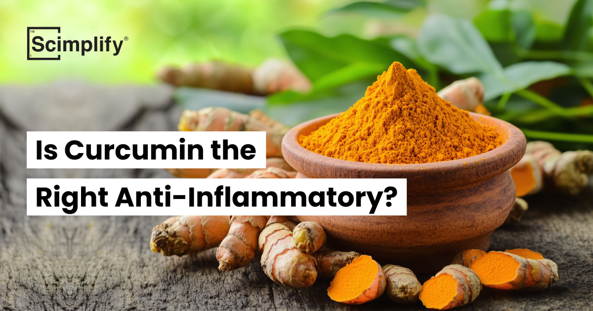 Is Curcumin the Right Anti-Inflammatory? | Blogs | Scimplify