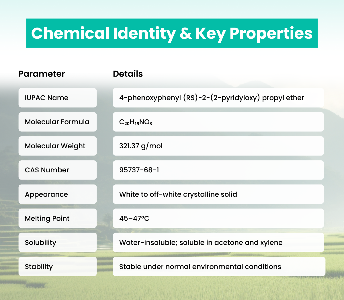 Chemical Identity & Key Properties
