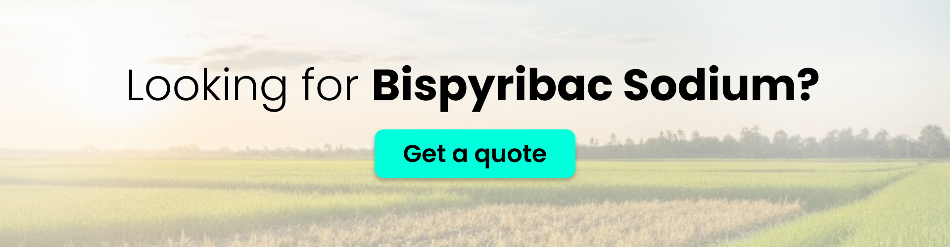 Looking for Bispyribac Sodium? Request a quote
