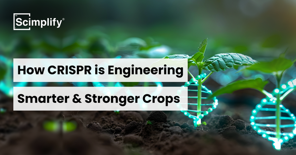 CRISPR & Agrochemicals – How Gene Editing is Engineering Smarter & Stronger Crops